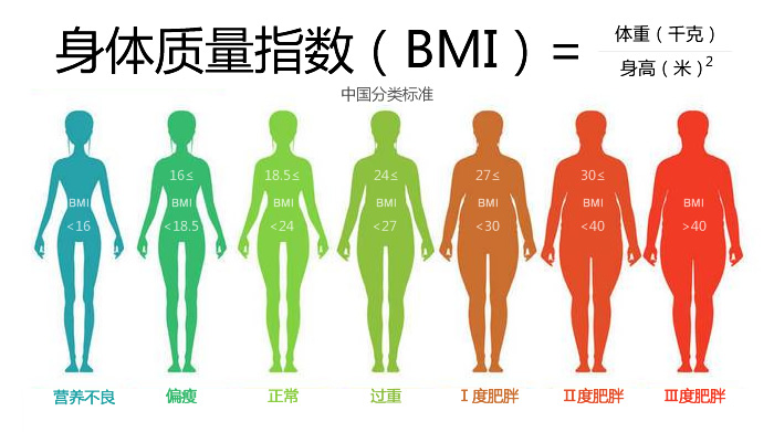 身高165体重112斤BMI是20.6,体型参照图